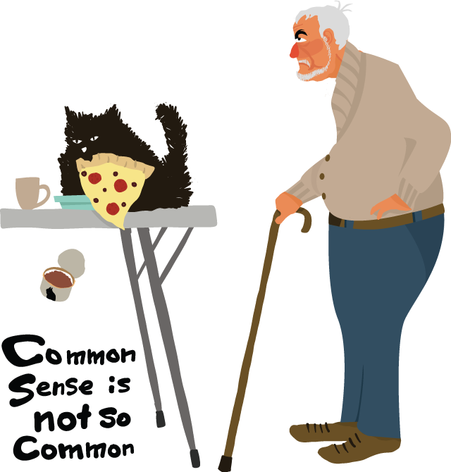 Common sense is not so common
